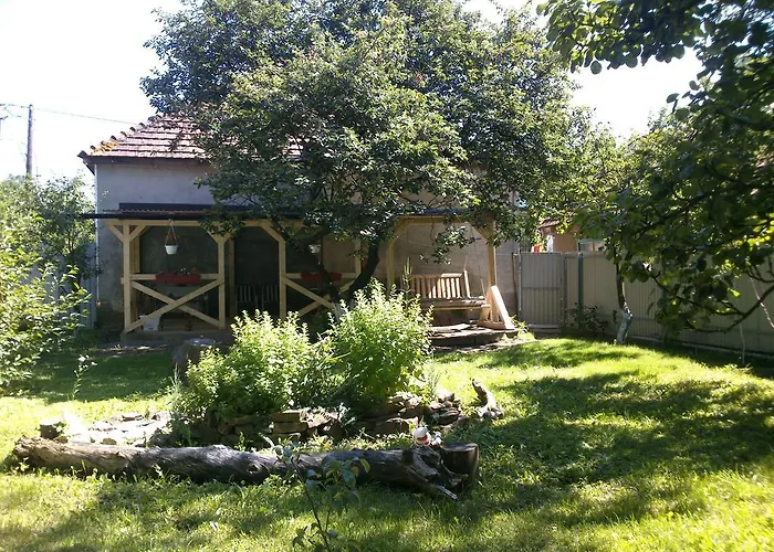 Villa Svalyavа