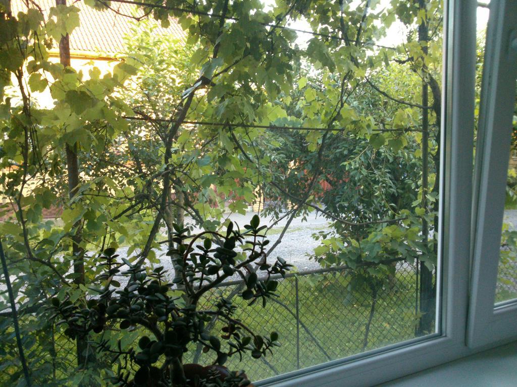Svalyavа Svalyava